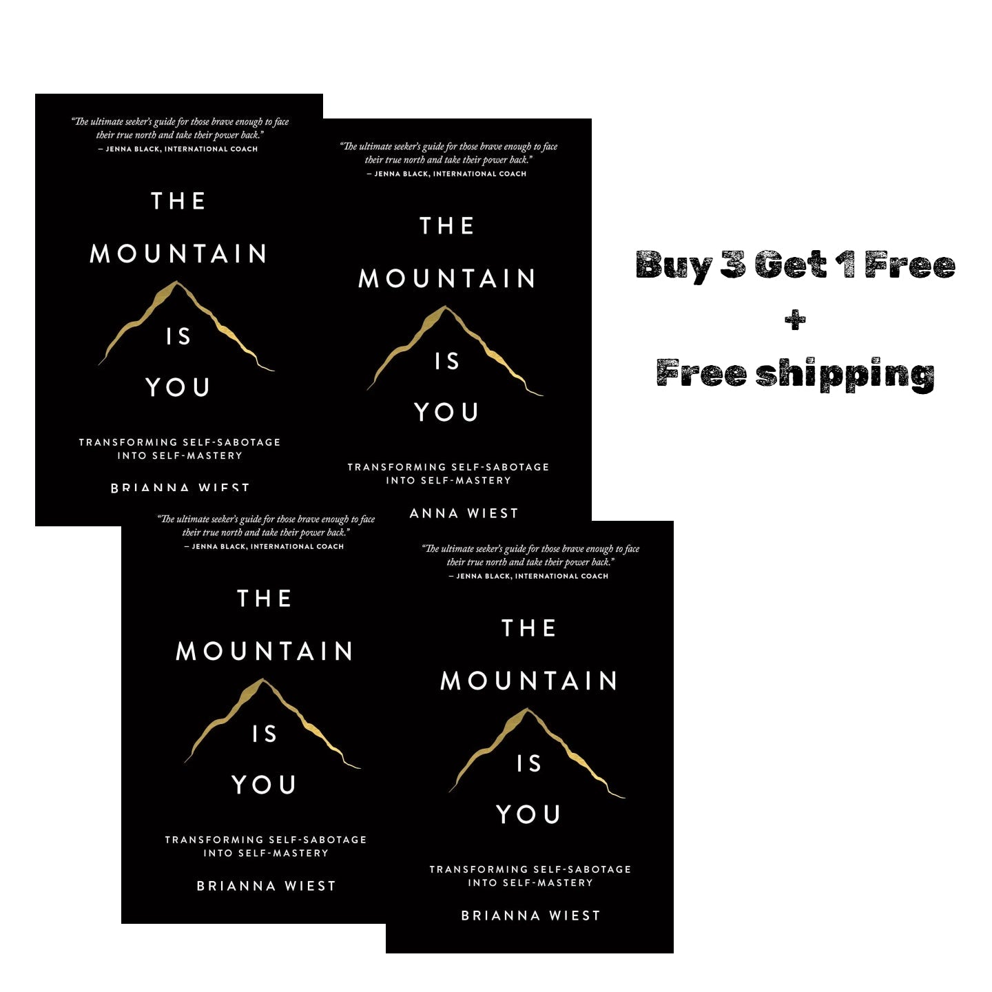 The Mountain Is You: Transforming Self-Sabotage Into Self-Mastery