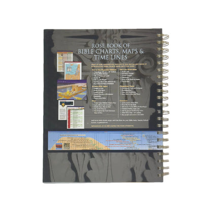 The Ultimate Bible Reference Book: 230 Pages of Visual Charts, Maps & Timelines on Everything