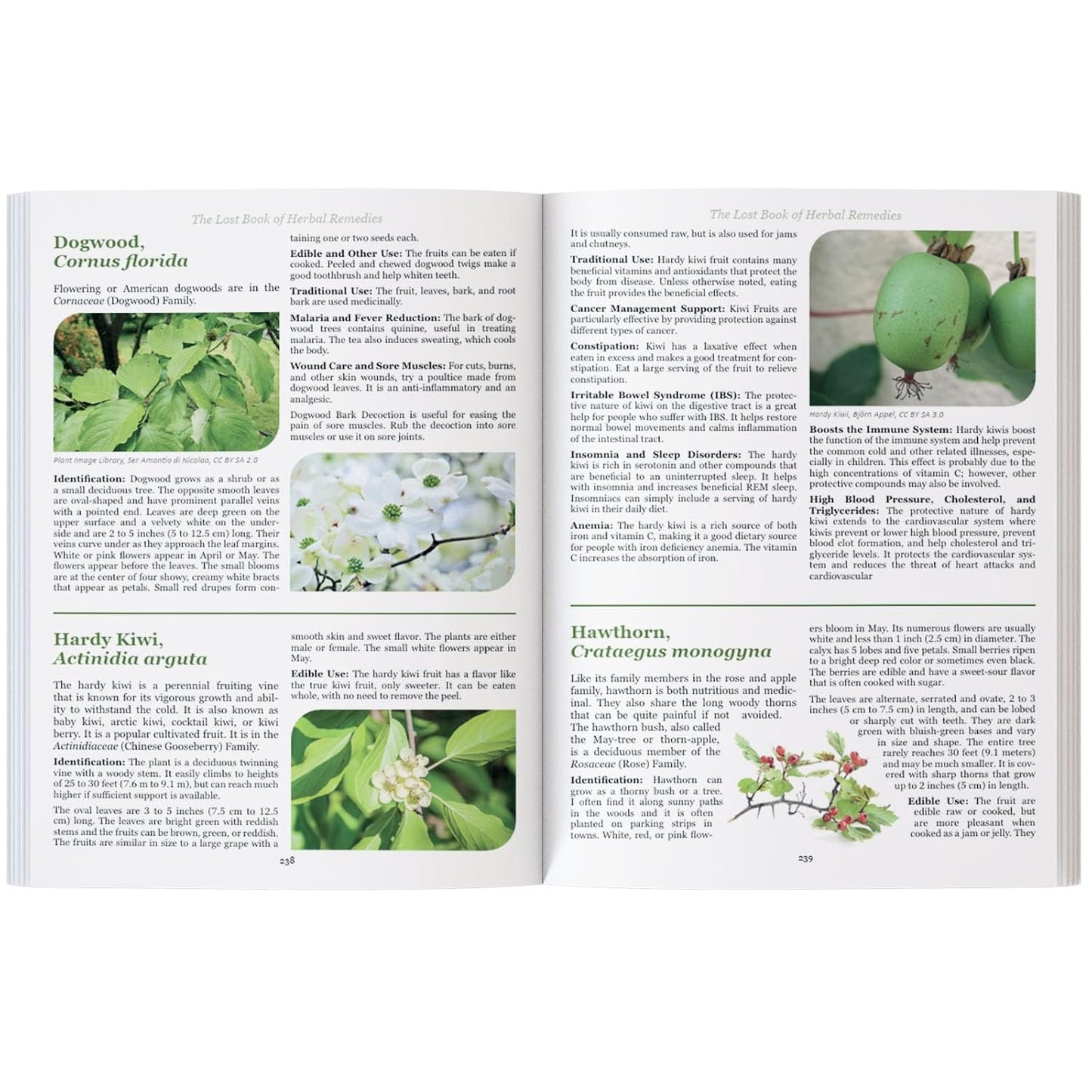 The Lost Book of Herbal Remedies: 800+ Medicinal Plants & Natural Home Remedies