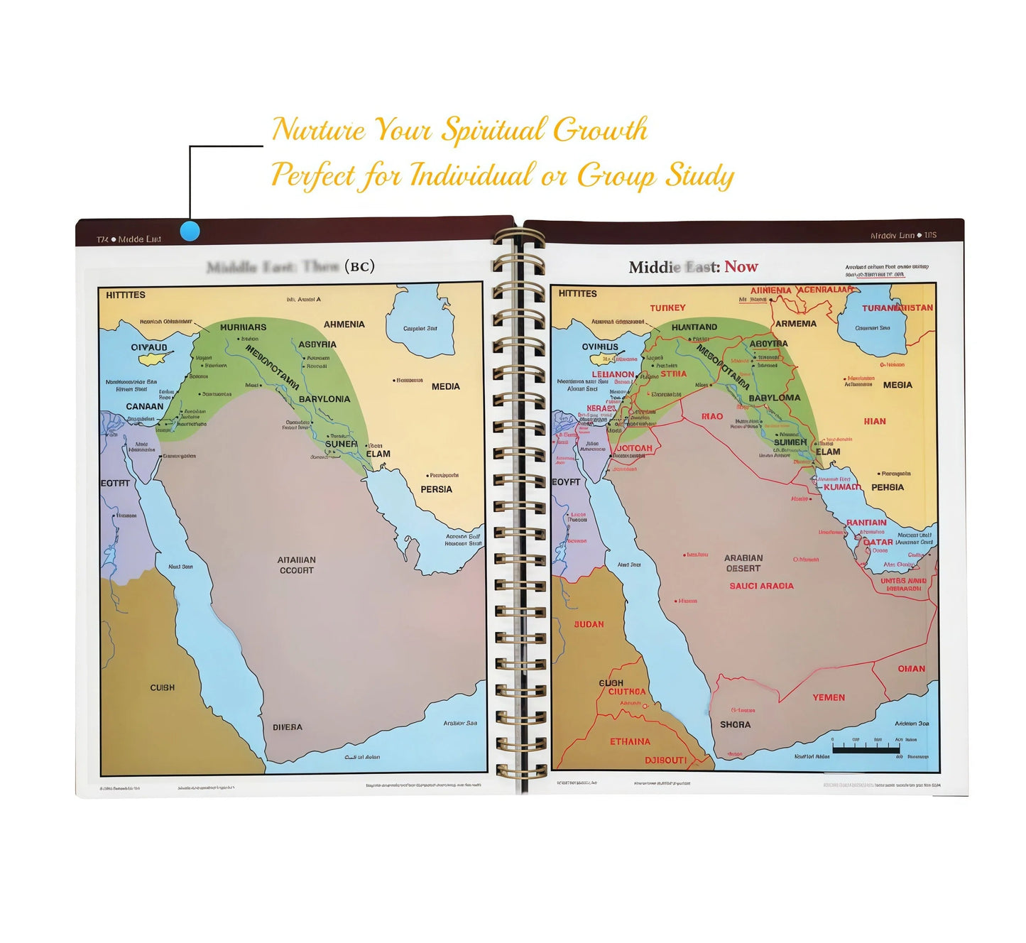 The Ultimate Bible Reference Book: 230 Pages of Visual Charts, Maps & Timelines on Everything