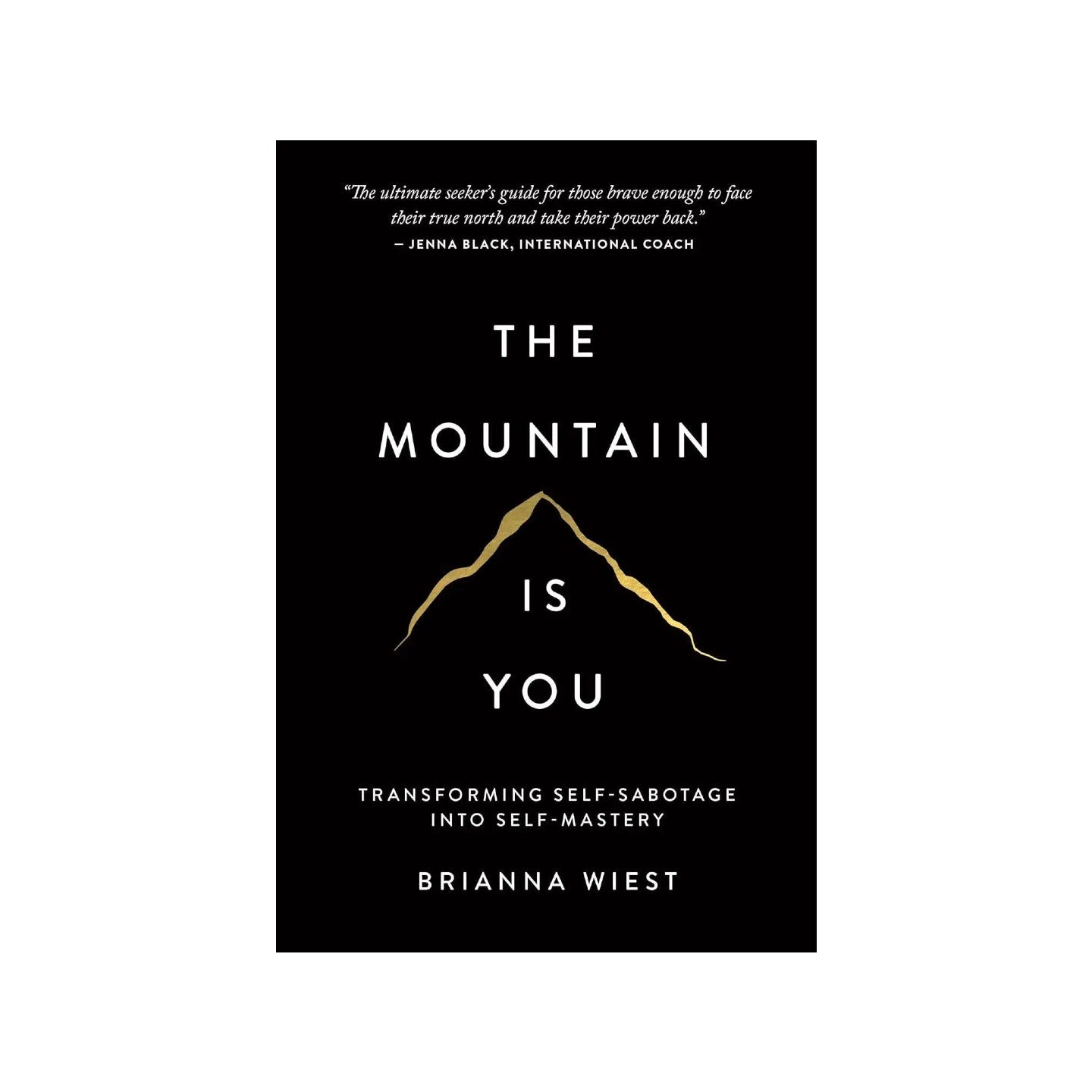 The Mountain Is You: Transforming Self-Sabotage Into Self-Mastery