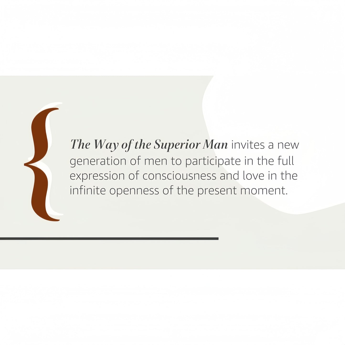 The Way of the Superior Man: A Spiritual Guide to Mastering the Challenges of Women, Work, and Sexual Desire (20th Anniversary Edition)