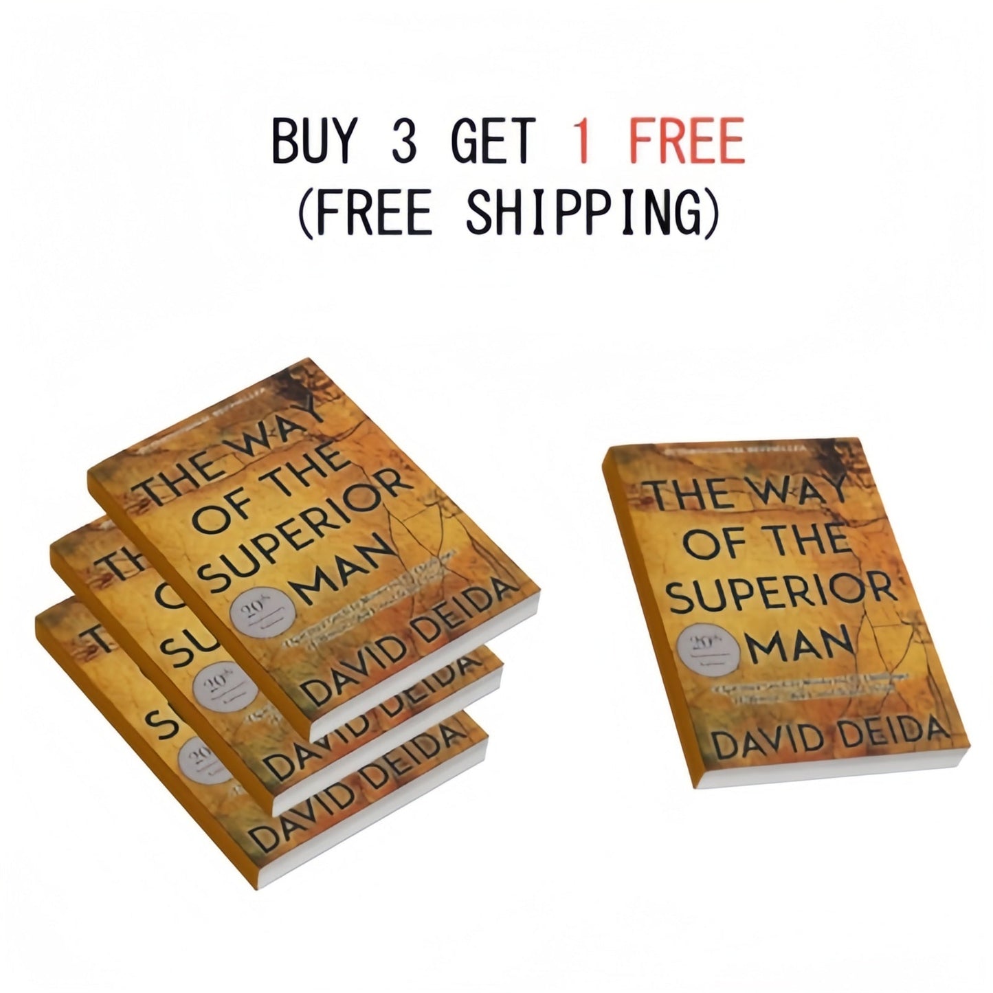 The Way of the Superior Man: A Spiritual Guide to Mastering the Challenges of Women, Work, and Sexual Desire (20th Anniversary Edition)