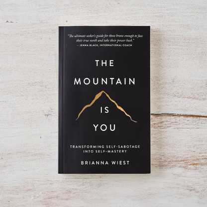 The Mountain Is You: Transforming Self-Sabotage Into Self-Mastery