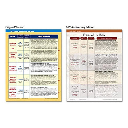 The Ultimate Bible Reference Book: 230 Pages of Visual Charts, Maps & Timelines on Everything